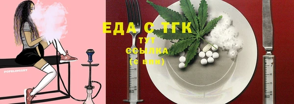 гашик Инта