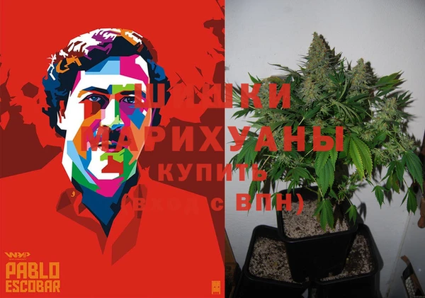 2c-b Переславль-Залесский