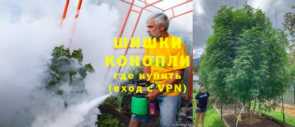 метадон Пестово