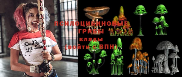 спайс Пересвет