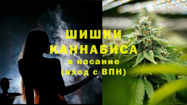 спайс Пересвет