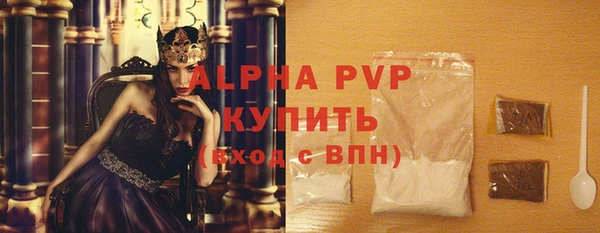 МДПВ Инсар